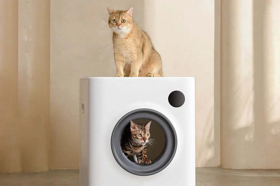 largest litter box