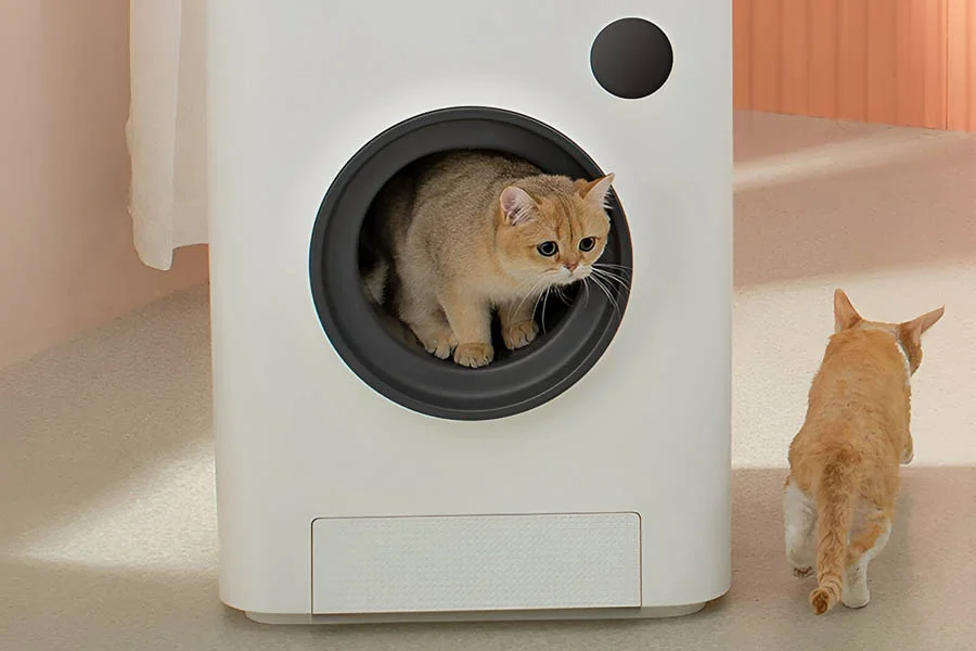 auto cleaning cat litter box